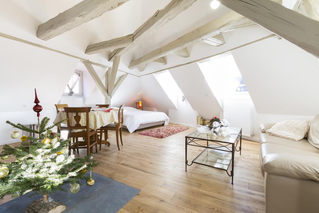 Les Appartements Saint Nicolas Colmar Ngoại thất bức ảnh