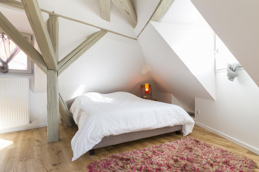 Les Appartements Saint Nicolas Colmar Ngoại thất bức ảnh